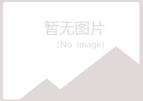 铜川紫山会计有限公司